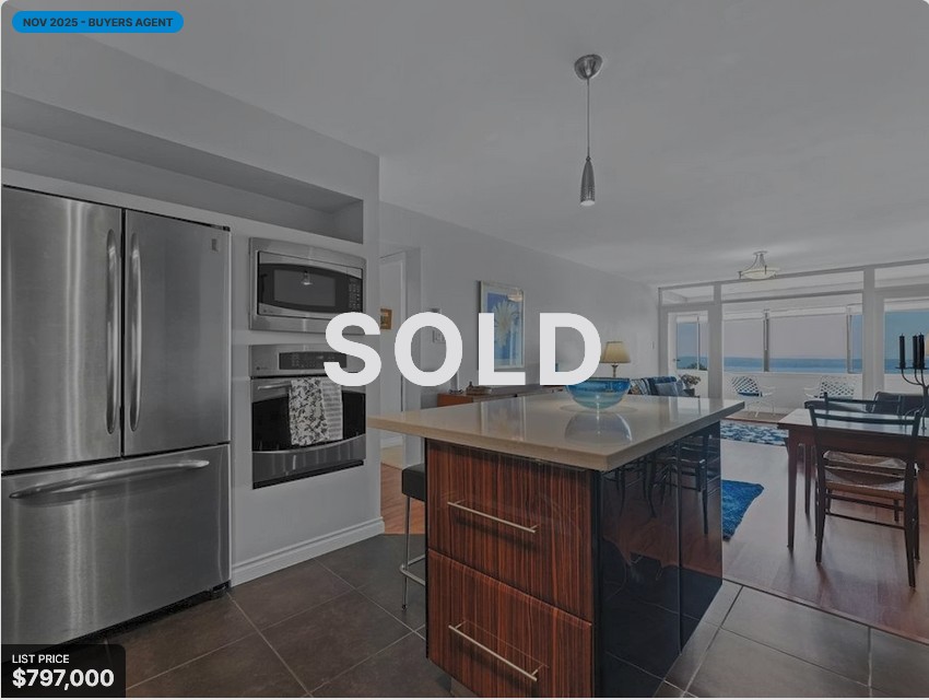 Navid Hakimi Top Realtor Past Sold (9)