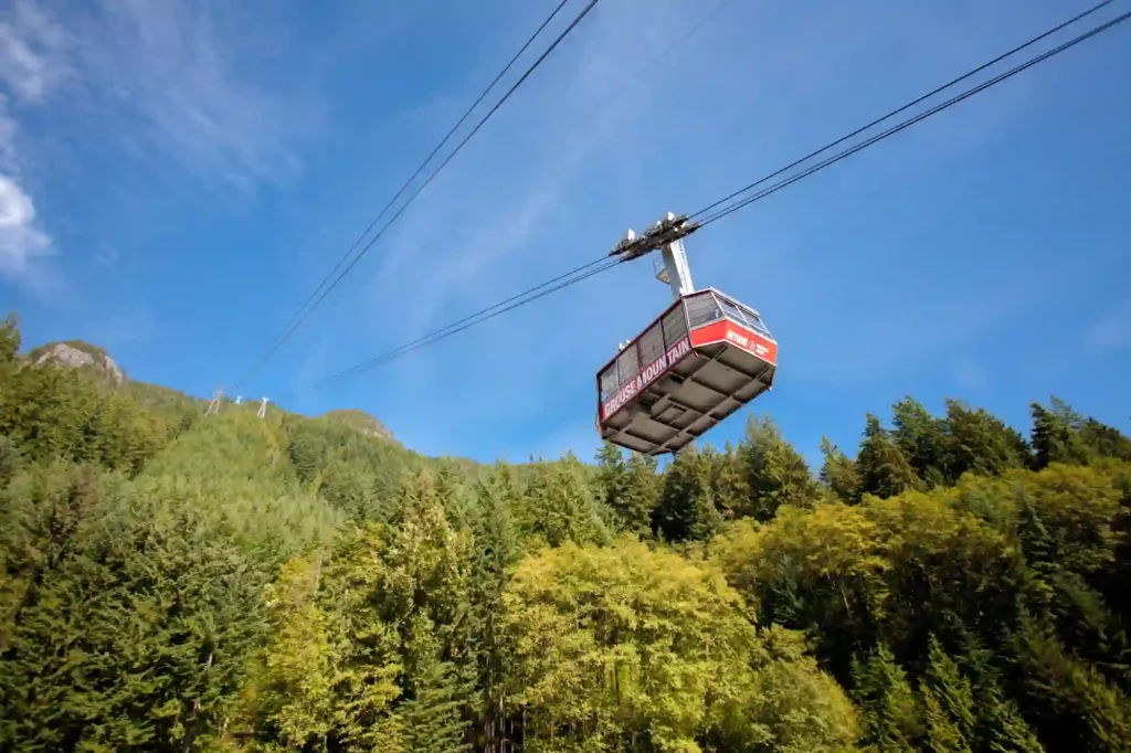 Navid Hakimi Group Forest Hills 8 Forest Hills north vancouver