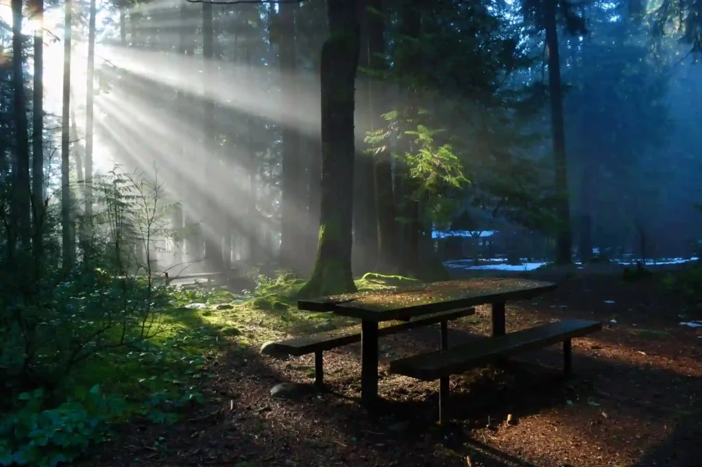 Navid Hakimi Group Forest Hills 7 north vancouver real estate