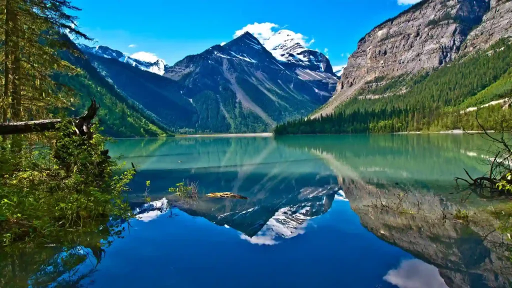 Navid Hakimi Group How Much Does It Cost to Sell a Home in BC? (Commission + All Fees) 3 british columbia