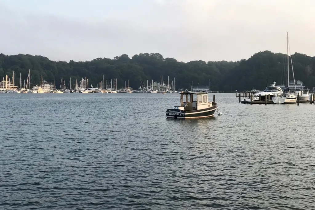 Calm ocean bay with moored boats and forested hills